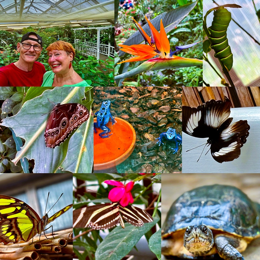 Schmetterlingsgarten Sayn